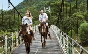 Năng lượng mới cho những ngày cuối năm