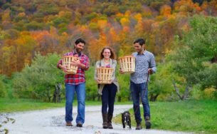 Du ngoạn mùa thu nước Úc chỉ với 58,9 triệu đồng