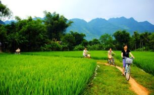 Ưu đãi lên đến 10 triệu đồng cho hoạt động Teambuilding tại Mai Châu Ecolodge