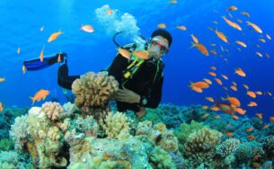 Cùng Vietrantour giải nhiệt mùa hè ở 2 thành phố biển số 1 Việt Nam