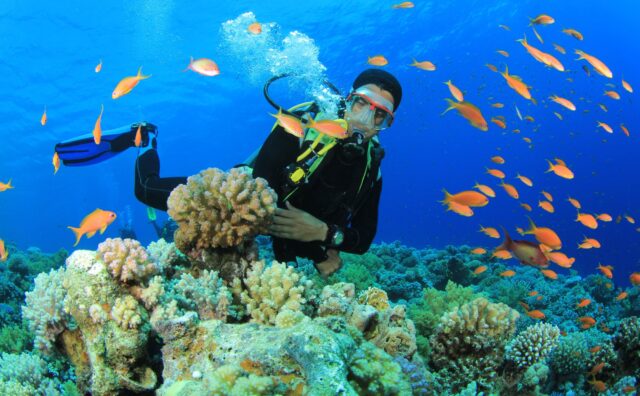 Cùng Vietrantour giải nhiệt mùa hè ở 2 thành phố biển số 1 Việt Nam