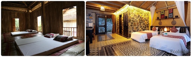 Cả Homestay hay Ecolodge đều là nơi bạn nên trải nghiệm