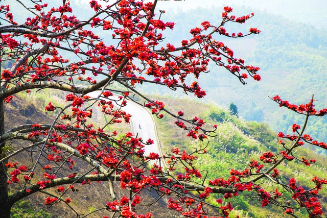 Ai lên Tây Bắc mùa xuân! - 4