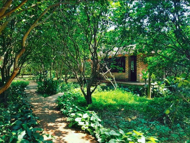 Hue Ecolodge, nằm ở làng cổ Thủy Biều trong thành phố Huế, nơi có các căn bungalow mang một dấu ấn riêng đậm chất “mộc” với lối kiến trúc hài hoà duyên dáng. Còn gì tuyệt với hơn khi mỗi sáng thức dậy, bạn lại được đắm mình trong không gian hoàng hôn ngay bên bờ sông Hương thơ mộng. Rồi thong dong, tĩnh tâm ngồi nhâm nhi bên ly nước detox ngay giữa vườn hương thanh trà nồng nàn giữa môi trường sinh thái trong xanh