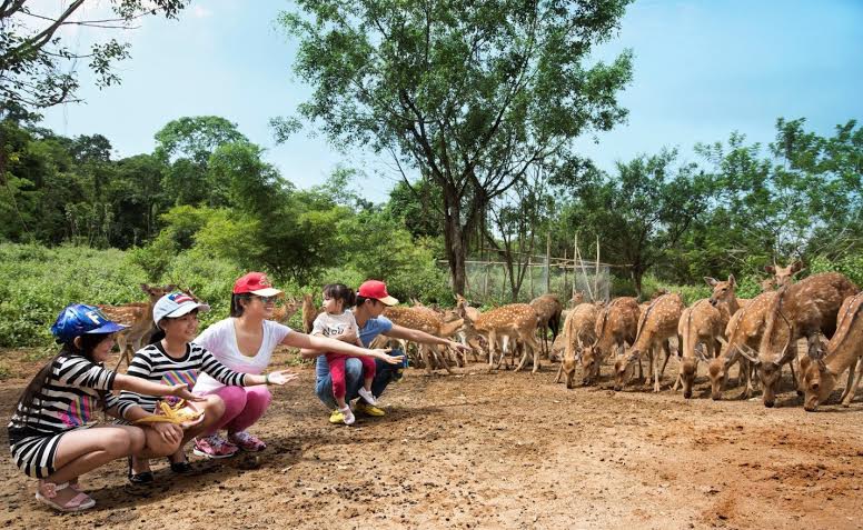 Đừng quên cùng nhau tham gia những trò chơi đầy thú vị