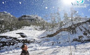 Vietrantour tung tour ưu đãi, tặng quà hậu mãi dịp năm mới
