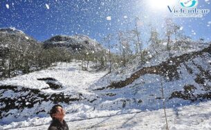 Vietrantour tung tour ưu đãi, tặng quà hậu mãi dịp năm mới