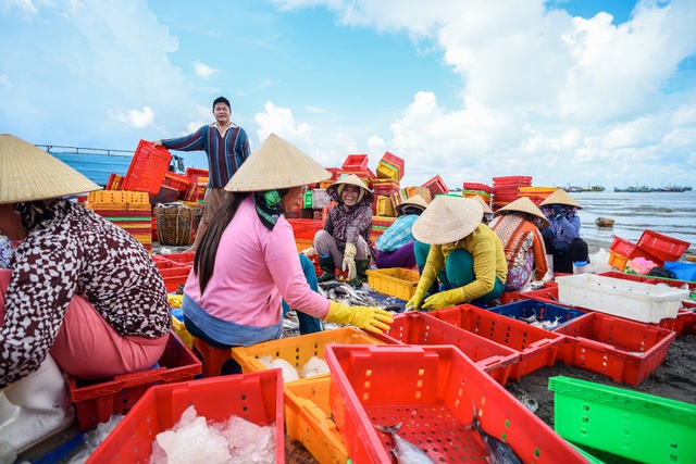 Về làng chài tỷ phú ở Vũng Tàu - 1