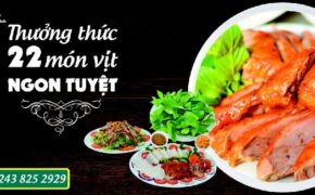 Vịt 29 – Địa chỉ quen thuộc món ngon tại Hà Nội