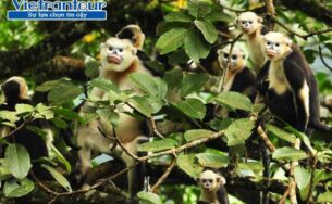 Ngược về miền đất Phượng Hoàng