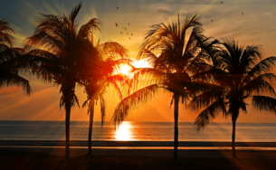 Các giá trị cốt lõi làm nên thành công của kỳ nghỉ gia đình Resorts International Vietnam